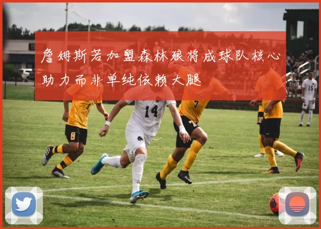 詹姆斯若加盟森林狼将成球队核心助力而非单纯依赖大腿