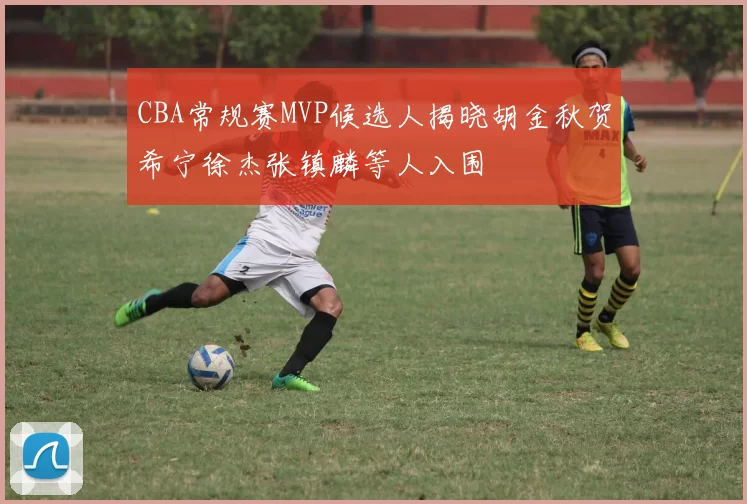 CBA常规赛MVP候选人揭晓胡金秋贺希宁徐杰张镇麟等人入围